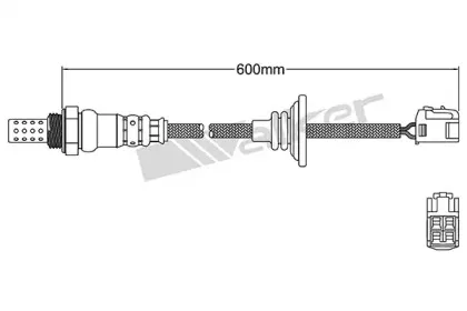 walkerproducts-25024968