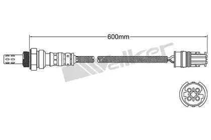walkerproducts-25024970