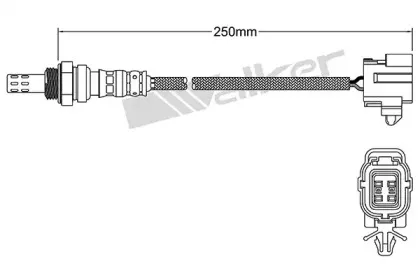 walkerproducts-25024978