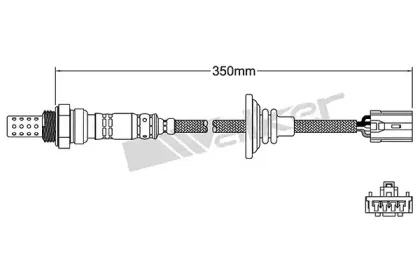 walkerproducts-25024980