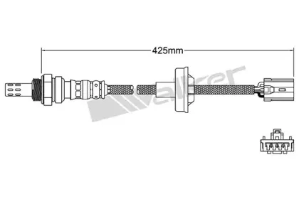 walkerproducts-25024981