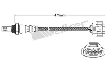 walkerproducts-25024984