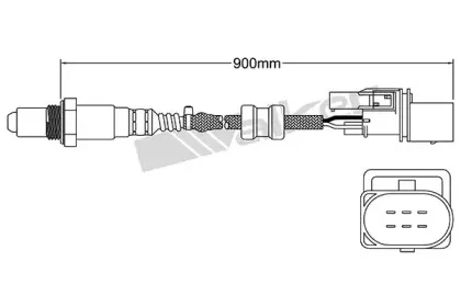 walkerproducts-25025003