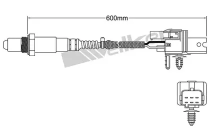 walkerproducts-25025005