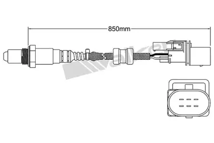 walkerproducts-25025007