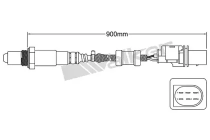 walkerproducts-25025033