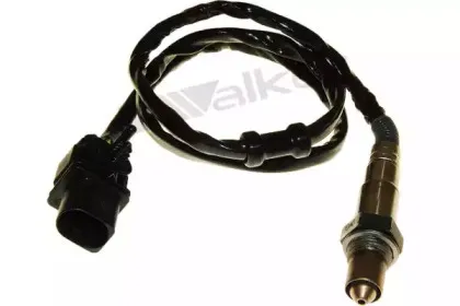 walkerproducts-25025033