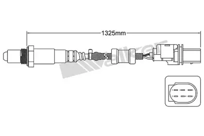 walkerproducts-25025037