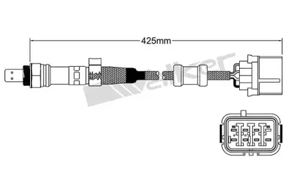 walkerproducts-25025055