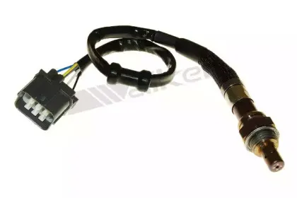 walkerproducts-25025055