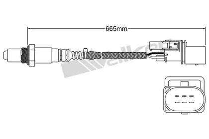 walkerproducts-25025057