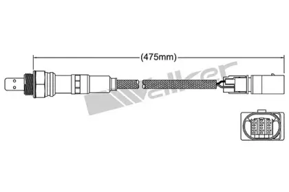 walkerproducts-25025062