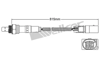 walkerproducts-25025064