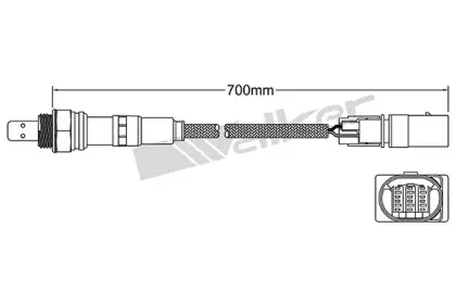 walkerproducts-25025065