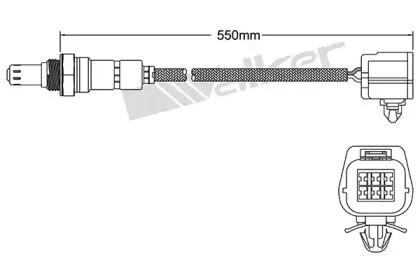 walkerproducts-25025090