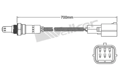 walkerproducts-25025096