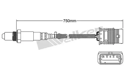 walkerproducts-25025106