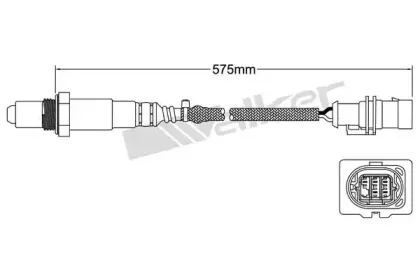 walkerproducts-25025109