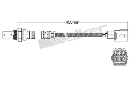 walkerproducts-25054003
