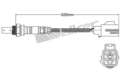 walkerproducts-25054010