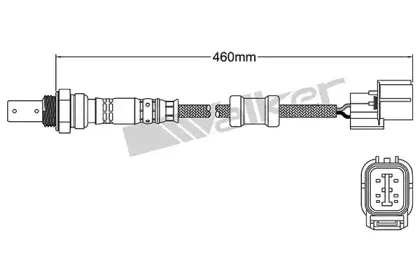 walkerproducts-25054014