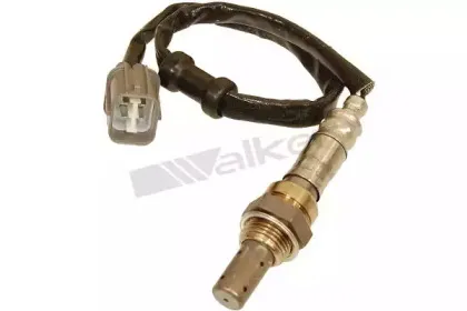 walkerproducts-25054014
