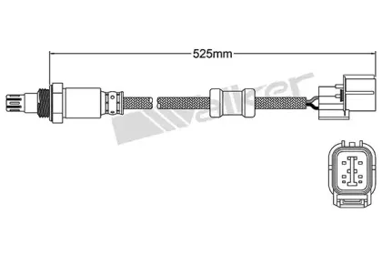 walkerproducts-25054023