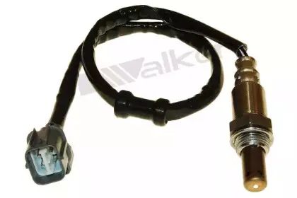 walkerproducts-25054023