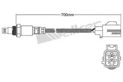 walkerproducts-25054026