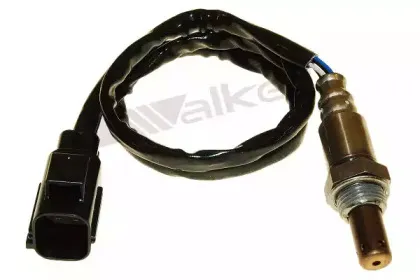 walkerproducts-25054026