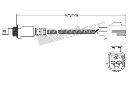 walkerproducts-25054028