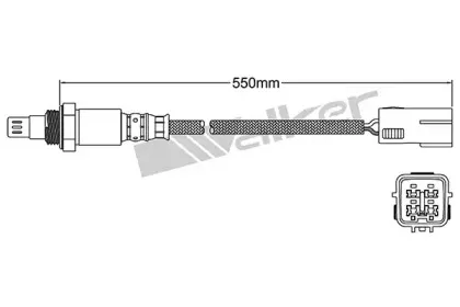 walkerproducts-25054031