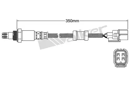 walkerproducts-25054038