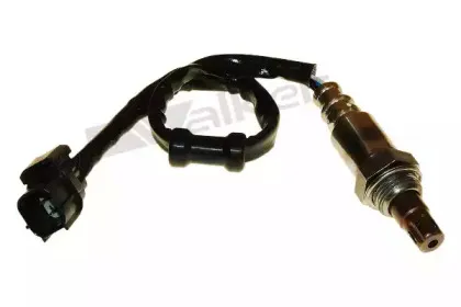 walkerproducts-25054038
