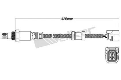 walkerproducts-25054040