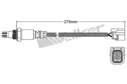 walkerproducts-25054041