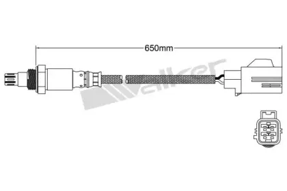 walkerproducts-25054042