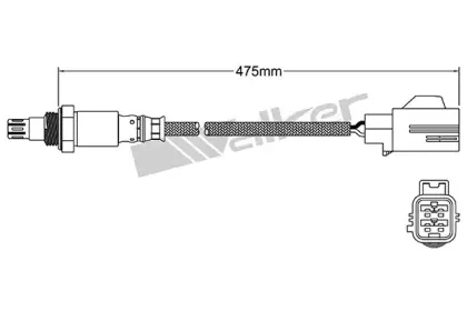 walkerproducts-25054043