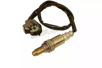 walkerproducts-25054043