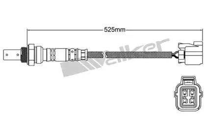 walkerproducts-25054048