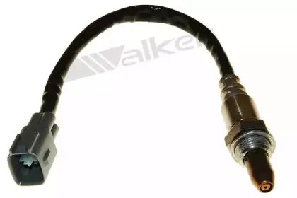 walkerproducts-25054050