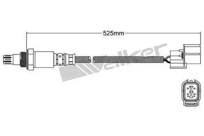 walkerproducts-25054056