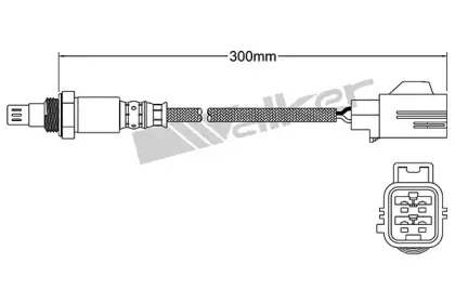 walkerproducts-25054062