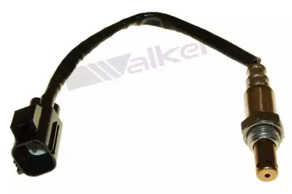 walkerproducts-25054062