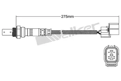 walkerproducts-25054076