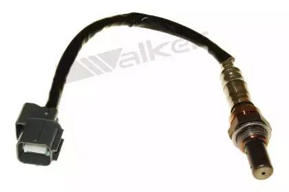 walkerproducts-25054076