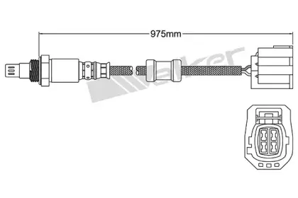 walkerproducts-25054093