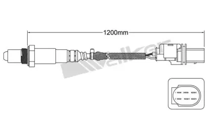 walkerproducts-80095006