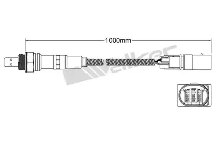 walkerproducts-80095018