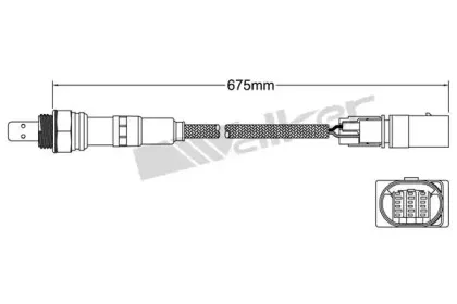 walkerproducts-80095020
